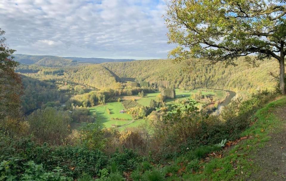 Le Cottage De Christine Vresse-sur-Semois Buitenkant foto